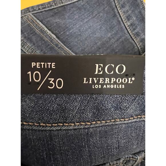Liverpool Los Angeles Frayed Hem Denim Mini Skirt Blue Womens Petite Size 10/30 - Picture 6 of 8